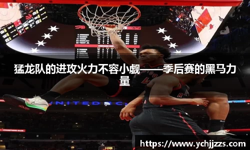 bsports登录入口