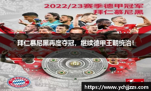 bsports登录入口