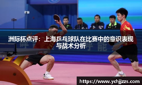 bsports官网入口