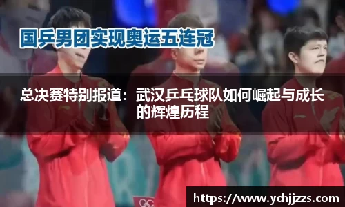 bsports登录入口