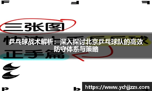 bsports官网入口