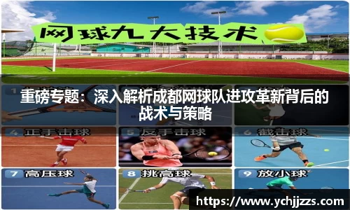 bsports官网入口