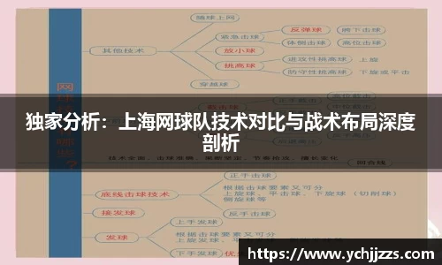 bsports登录入口