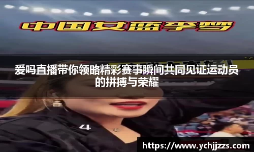 bsports官网入口