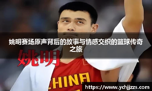 Bsports网页版