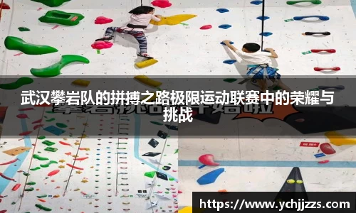 bsports官网入口