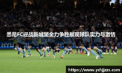 bsports官网入口