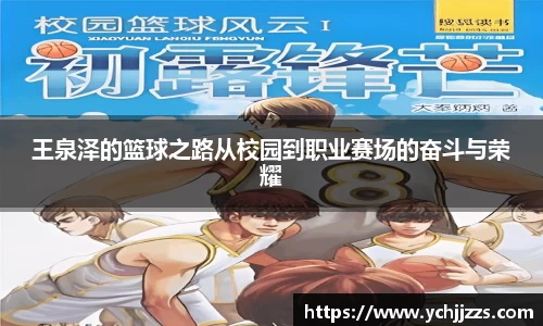 bsports官网入口