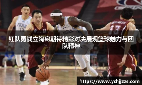 bsports登录入口