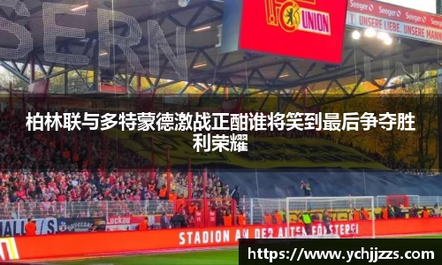 bsports登录入口