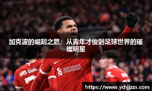 bsports登录入口