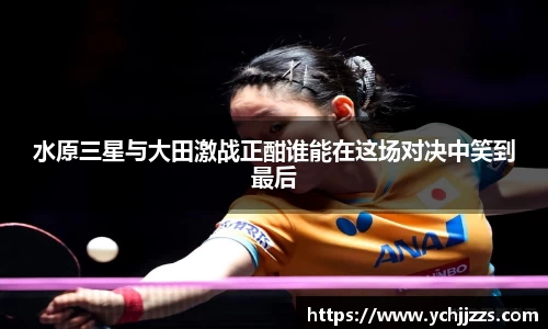 bsports登录入口