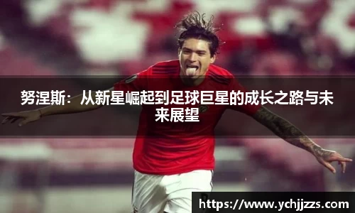 Bsports网页版