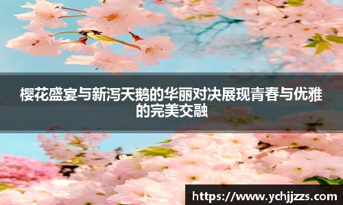 bsports官网入口