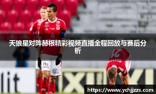 bsports官网入口