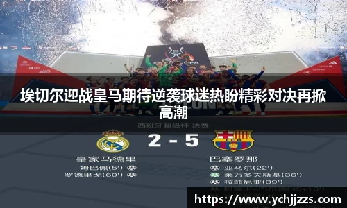 bsports登录入口