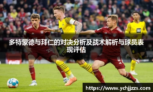 bsports登录入口