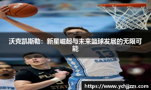 bsports官网入口