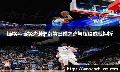 bsports登录入口