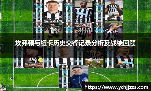 bsports登录入口