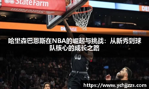 bsports登录入口