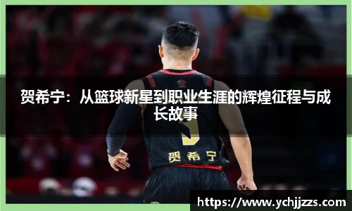 bsports官网入口