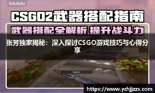 bsports官网入口