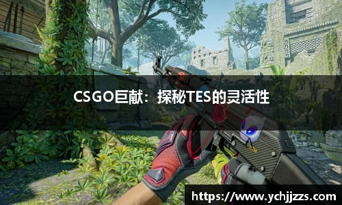 bsports登录入口